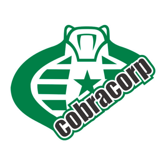 Logo diseñado para Cobra Corp