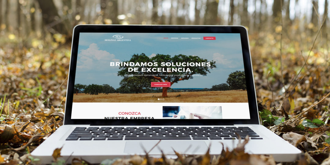 Diseño web para Molinas Argentina