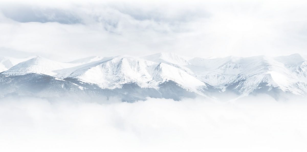 diseño web para fitz roy srl