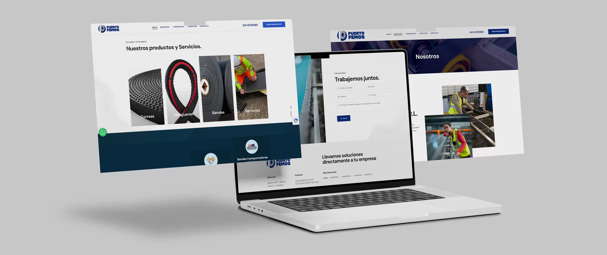 Diseño Web Para Puerto Femos