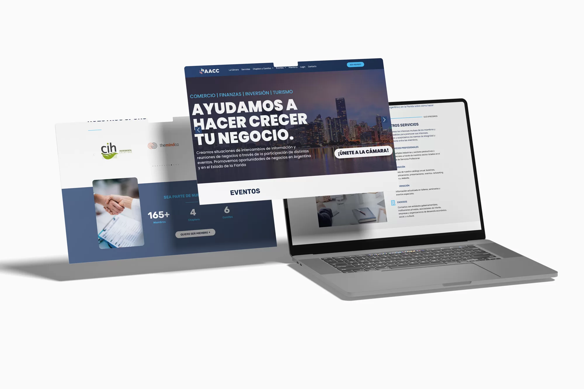 Diseño Web Y Mantenimiento Web Para Aacc Miami