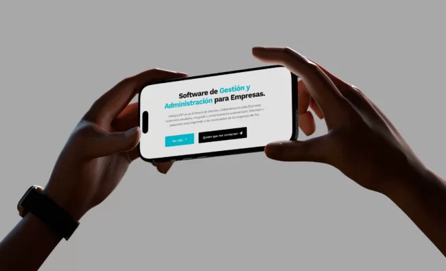 Dise&ntilde;o Web Para Empresa De Software Argentina Neosistemas