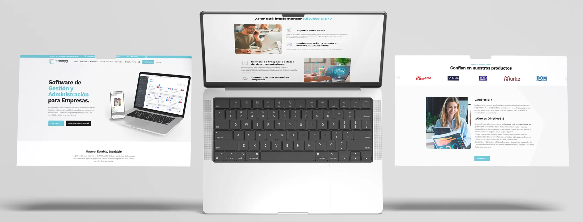 Diseño Web Para Empresa De Software Neosistemas